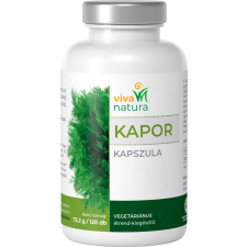 Viva natura kapor vegetáriánus étrend-kiegészítő kapszula 120 db gyógyhatású készítmény