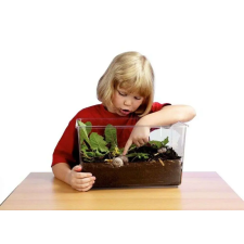  Vivárium 6 literes, fedővel oktatójáték