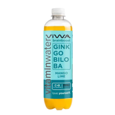 VIWA brainboost ginkgo biloba-zöldtea vitaminvíz 600 ml üdítő, ásványviz, gyümölcslé