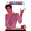 Viz Media Bleach, Vol. 68 | Tite Kubo
