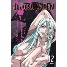 Viz Media Jujutsu Kaisen, Vol. 12 | Gege Akutami egyéb könyv