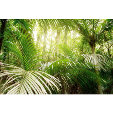 Vlies Fotótapéta - Green leaves in jungle - 375x250 cm tapéta, díszléc és más dekoráció