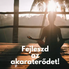 Voiz Fejleszd az akaraterődet! egyéb e-könyv