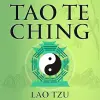 Voiz Tao te king