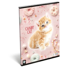  Vonalas füzet A4 candy cat - pink cicás füzet