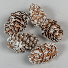  Vörösfenyő toboz havas 18dkg/csom dekorációs kellék