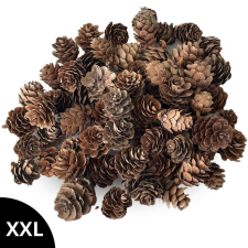  Vörösfenyő toboz natúr dekorációs kellék