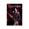 VYDAVATELSTIVI Dua Lipa - Unofficial Calendar 2026 A3-as naptár