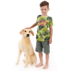 W-web Besszy - plüss labrador