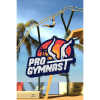 Walaber Entertainment LLC Pro Gymnast (PC - Steam elektronikus játék licensz)