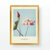  Wallity Decorative Framed Painting Multicolor AC523362-5575