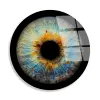  Wallity Decorative Tempered Glass Painting Multicolor UV-1138
