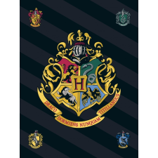 Warner Bros Harry Potter polár takaró, pléd 100x140 cm Nr1 lakástextília