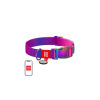 WAUDOG gradient nylon dog collar with QR code, purple , size XL
