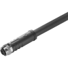 Weidmüller 2706670500 Érzékelő-/működtető összekötő, konfekcionált M12 Alj, egyenes 5.00 m Pólusszám: 3 1 db (2706670500)