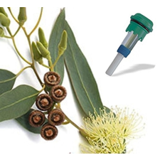 Wellis Aromaterápiás illatpatron Jakuzzihoz - Eucalyptus jakuzzi