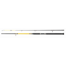 WFT Bot wft never crack big fish 150-700g  2,40m horgászbot