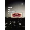  What Do Pictures Want? – W  J  T Mitchell