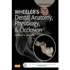  Wheeler's Dental Anatomy, Physiology and Occlusion – Stanley J. Nelson idegen nyelvű könyv