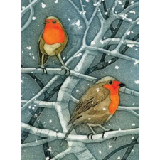  Wild Birds Pocket Notebook: Robin – Sarah Ross-Thompson (Határidőnapló) naptár, kalendárium
