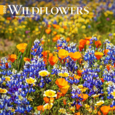  Wildflowers 2024 Square naptár, kalendárium