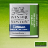 Winsor&Newton Cotman 1/2 szilkés akvarellfesték - 599, sap green