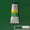 Winsor&Newton Galeria akrilfesték, 60 ml - 599, sap green
