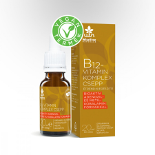 Wise Tree Naturals B12-Vitamin Komplex csepp 20ml WiseTreeNaturals vitamin és táplálékkiegészítő