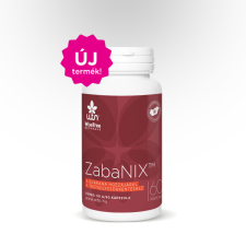 Wise Tree Naturals WTN ZABANIX™ 60 kapszula vitamin és táplálékkiegészítő
