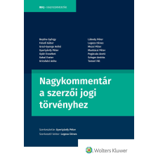 Wolters Kluwer Nagykommentár a szerzői jogi törvényhez társadalom- és humántudomány