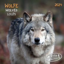  Wolves/Wölfe 2024 naptár, kalendárium