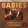 WORKMAN PUBLISHING Babies | KAINEN DAN