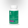 WTN Ashwagandha komplex 60 kapszula WTN
