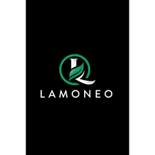 Young M. Kim Lamoneo (PC - Steam elektronikus játék licensz) videójáték