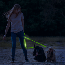 Yummie LED-es póráz - akkumulátoros - 120 x 2,5 cm - zöld 60026C nyakörv, póráz, hám kutyáknak