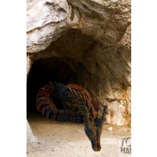 YWU Játéksárkány 45 cm játékfigura