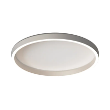 ZAMBELIS ezüst-fehér LED mennyezeti lámpa (ZAM-25165) LED 1 izzós IP20 világítás