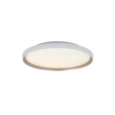ZAMBELIS fehér LED mennyezeti lámpa (ZAM-25188) LED 1 izzós IP20 világítás
