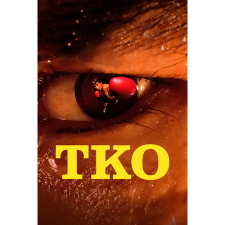 Ziggurat TKO (PC - Steam elektronikus játék licensz) videójáték