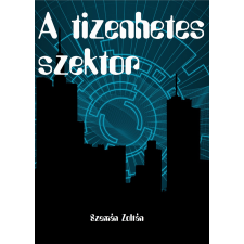 Zoltan Szeman (magánkiadás) A tizenhetes szektor regény