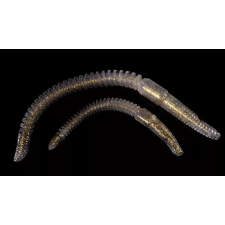 ZozoBaits RibWorm 55 - Gold Pearl - 15db csali