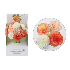  Zseléstoll rózsa kúszó 4 féle vegyes toll