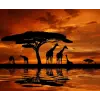  Zsiráf tapéta, sunset2, 350 x 250 cm