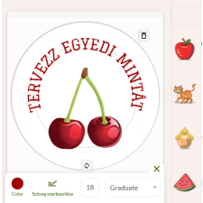 ZSONA DEKOR Egyedileg tervezhető VASALHATÓ ovisjel ajándéktárgy