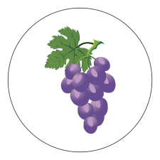 ZSONA DEKOR Öntapadós Ovis jel csomag Szőlő mintával ajándéktárgy