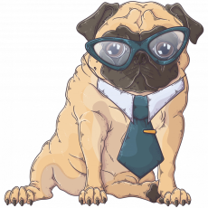 ZSONA DEKOR Pug Dog - Sport táska fehér